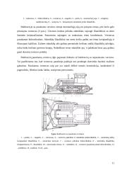 Buldozeris su pasukamu verstuvu 11 puslapis