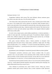 Buldozeris su pasukamu verstuvu 12 puslapis