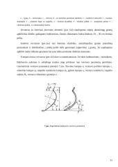 Buldozeris su pasukamu verstuvu 15 puslapis