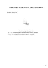 Buldozeris su pasukamu verstuvu 18 puslapis