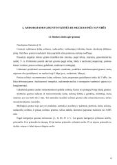 Buldozeris su pasukamu verstuvu 4 puslapis