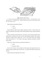Buldozeris su pasukamu verstuvu 9 puslapis
