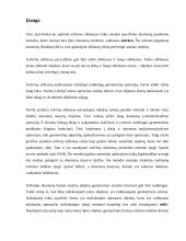 Struktūros pagrįstos objektų aibės dalinimu: R-medis 4 puslapis