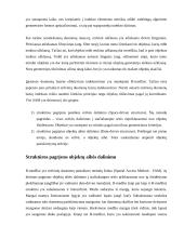 Struktūros pagrįstos objektų aibės dalinimu: R-medis 5 puslapis