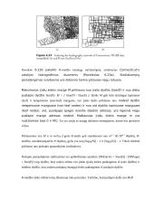 Struktūros pagrįstos objektų aibės dalinimu: R-medis 8 puslapis