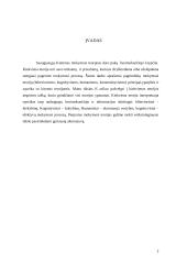 Suaugusiųjų švietimo ypatumai 2 puslapis