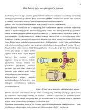Sunkvežimių kardaninių pavarų tipai 10 puslapis