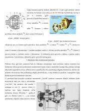 Sunkvežimių kardaninių pavarų tipai 11 puslapis
