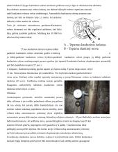 Sunkvežimių kardaninių pavarų tipai 17 puslapis