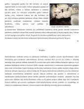 Sunkvežimių kardaninių pavarų tipai 18 puslapis