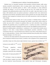 Sunkvežimių kardaninių pavarų tipai 3 puslapis