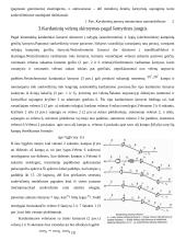 Sunkvežimių kardaninių pavarų tipai 4 puslapis