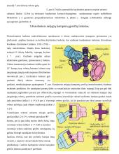 Sunkvežimių kardaninių pavarų tipai 8 puslapis