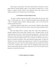 Bulvininkystės plėtros ekonominiai rezultatai ir perspektyvos 18 puslapis