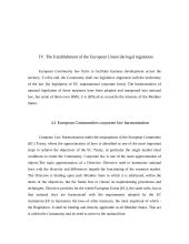 Business law in Lithuania 13 puslapis