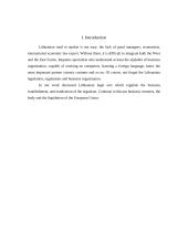 Business law in Lithuania 3 puslapis