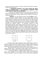Sveika mityba ir medžiagų apykaita 4 puslapis
