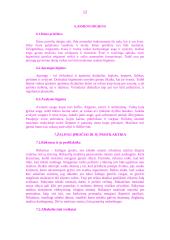 Sveikatos ugdymas šeimoje 12 puslapis