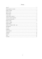 Šeimoje ugdomos vertybės 2 puslapis