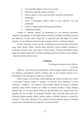 Šeimoje ugdomos vertybės 12 puslapis