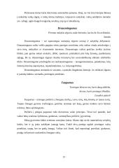 Šeimoje ugdomos vertybės 13 puslapis