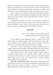 Šeimoje ugdomos vertybės 5 puslapis