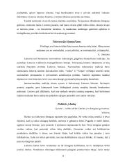 Šeimoje ugdomos vertybės 8 puslapis