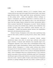 Chimopapainas 2 puslapis