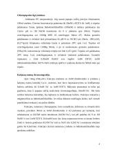 Chimopapainas 4 puslapis