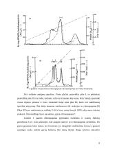 Chimopapainas 8 puslapis