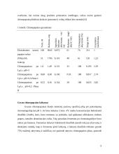 Chimopapainas 9 puslapis