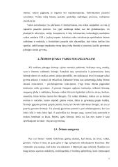 Bendrieji socializacijos aspektai ir šeimos įtaka vaiko socializacijai  8 puslapis