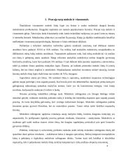 Šiuolaikinė edukologija kūno kultūros kontekste per judriuosius žaidimus 4 puslapis