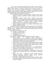 Šokio pamoka pradžios mokykloje 2 puslapis