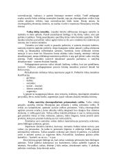 Šokio pamoka pradžios mokykloje 11 puslapis