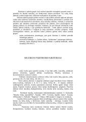 Šokio pamoka pradžios mokykloje 12 puslapis