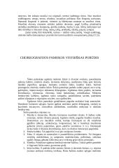 Šokio pamoka pradžios mokykloje 13 puslapis