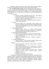 Šokio pamoka pradžios mokykloje 15 puslapis