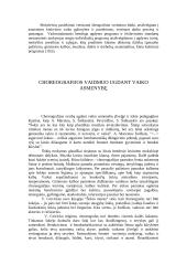 Šokio pamoka pradžios mokykloje 16 puslapis