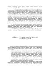 Šokio pamoka pradžios mokykloje 17 puslapis