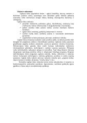 Šokio pamoka pradžios mokykloje 3 puslapis