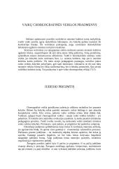 Šokio pamoka pradžios mokykloje 4 puslapis