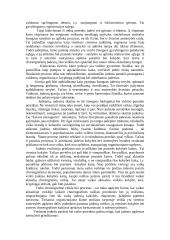 Šokio pamoka pradžios mokykloje 5 puslapis