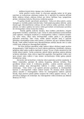 Šokio pamoka pradžios mokykloje 7 puslapis