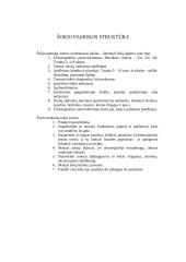 Šokio pamoka pradžios mokykloje 8 puslapis