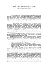 Šokio pamoka pradžios mokykloje 9 puslapis