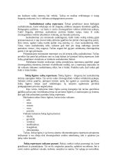 Šokio pamoka pradžios mokykloje 10 puslapis