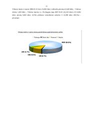 Darbo paklausos ir pasiūlos analizė: Vilniaus regionas 2007-2008 metais 11 puslapis