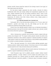 Tarptautinės jūrų teisės šaka 17 puslapis