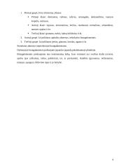 Tauriųjų metalų ir brangakmenių ženklinimas 4 puslapis